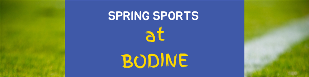spring sports